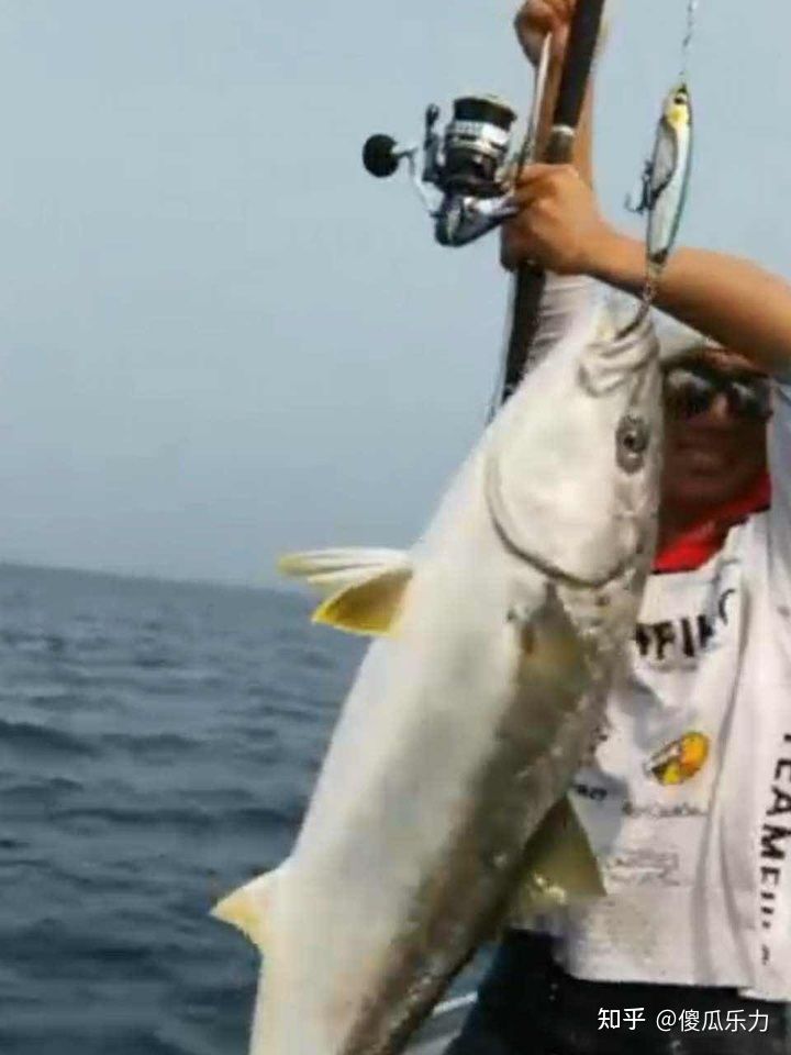 纺车轮路亚可以钓哪些鱼,纺车轮路亚各种钓法