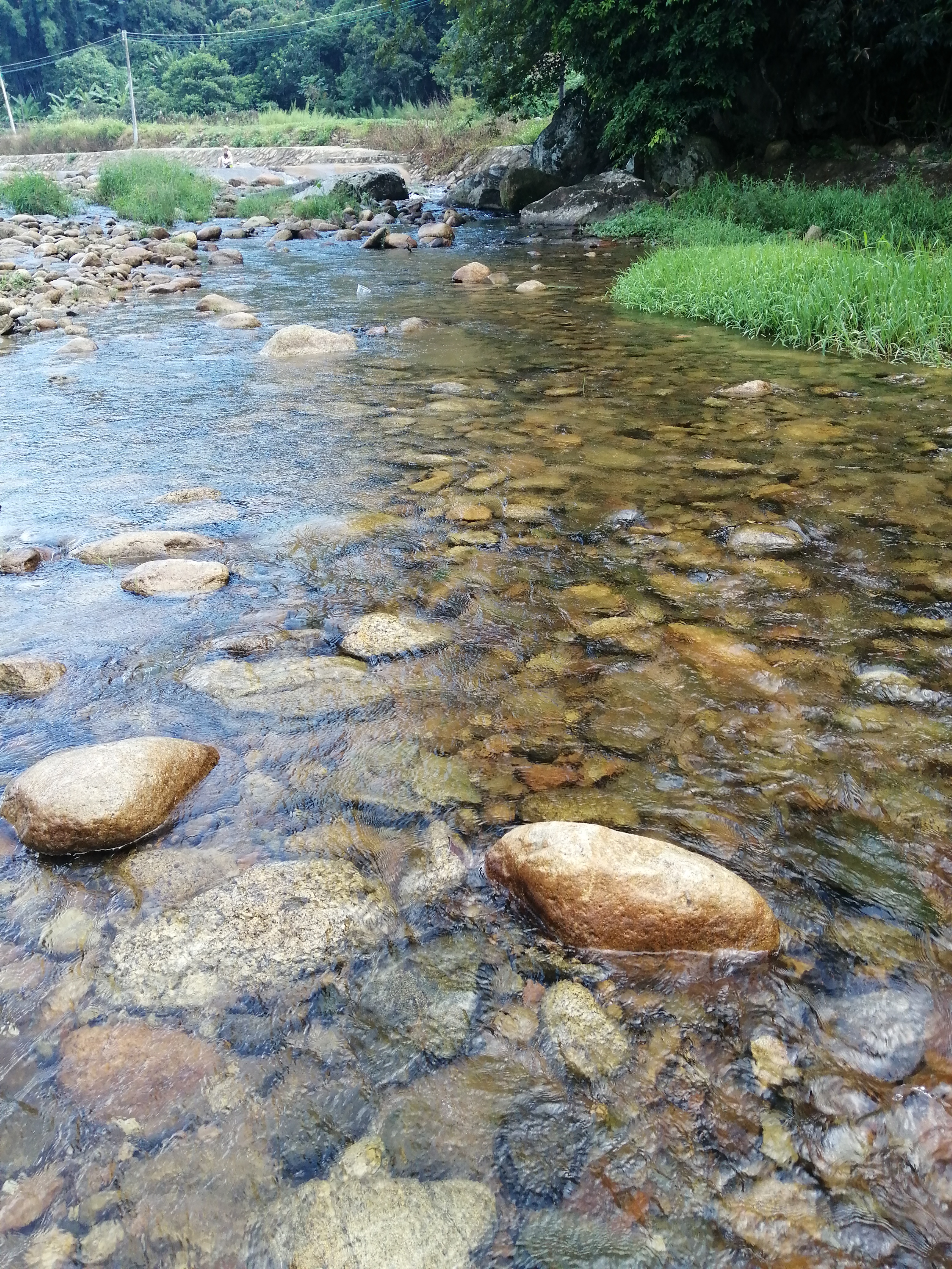 惠州罗浮山酥醪景区天然氧吧,罗浮山酥醪村天然氧吧民宿