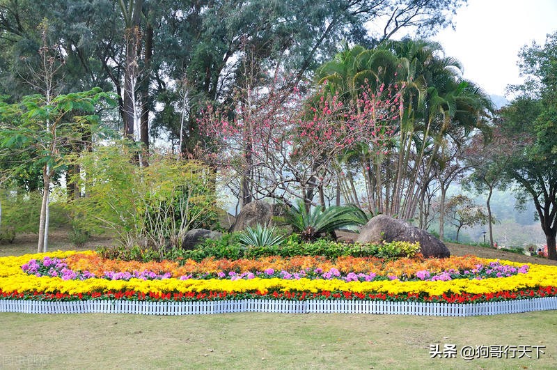 珠海景点排行榜前十名,珠海免费开放的沙滩十大免费景点