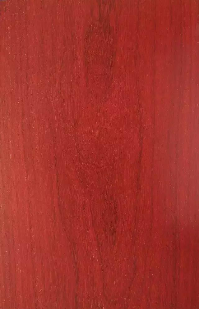 最美木皮,轻奢极简天然木皮