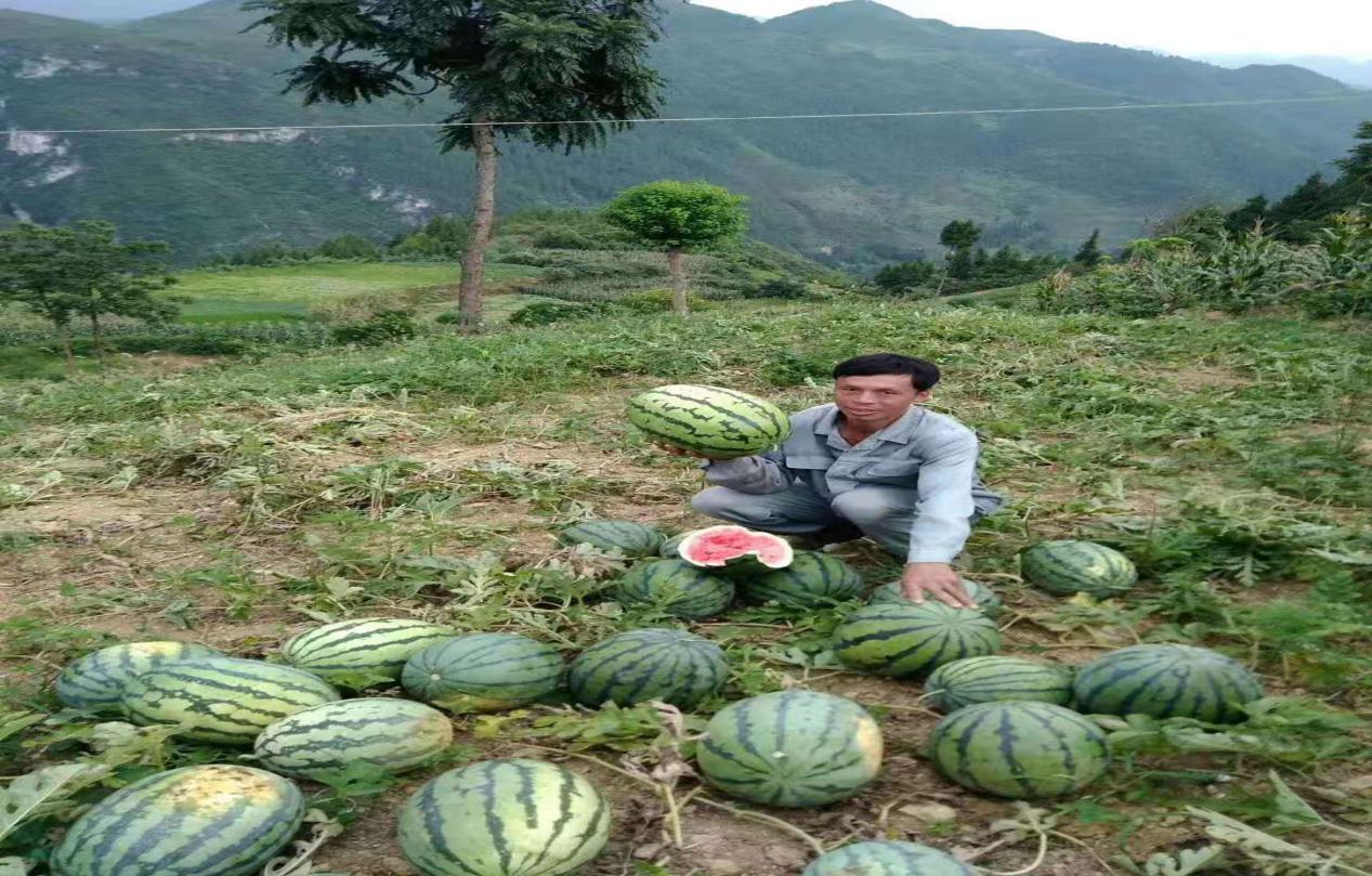 重庆奉节三国故事,奉节的故事