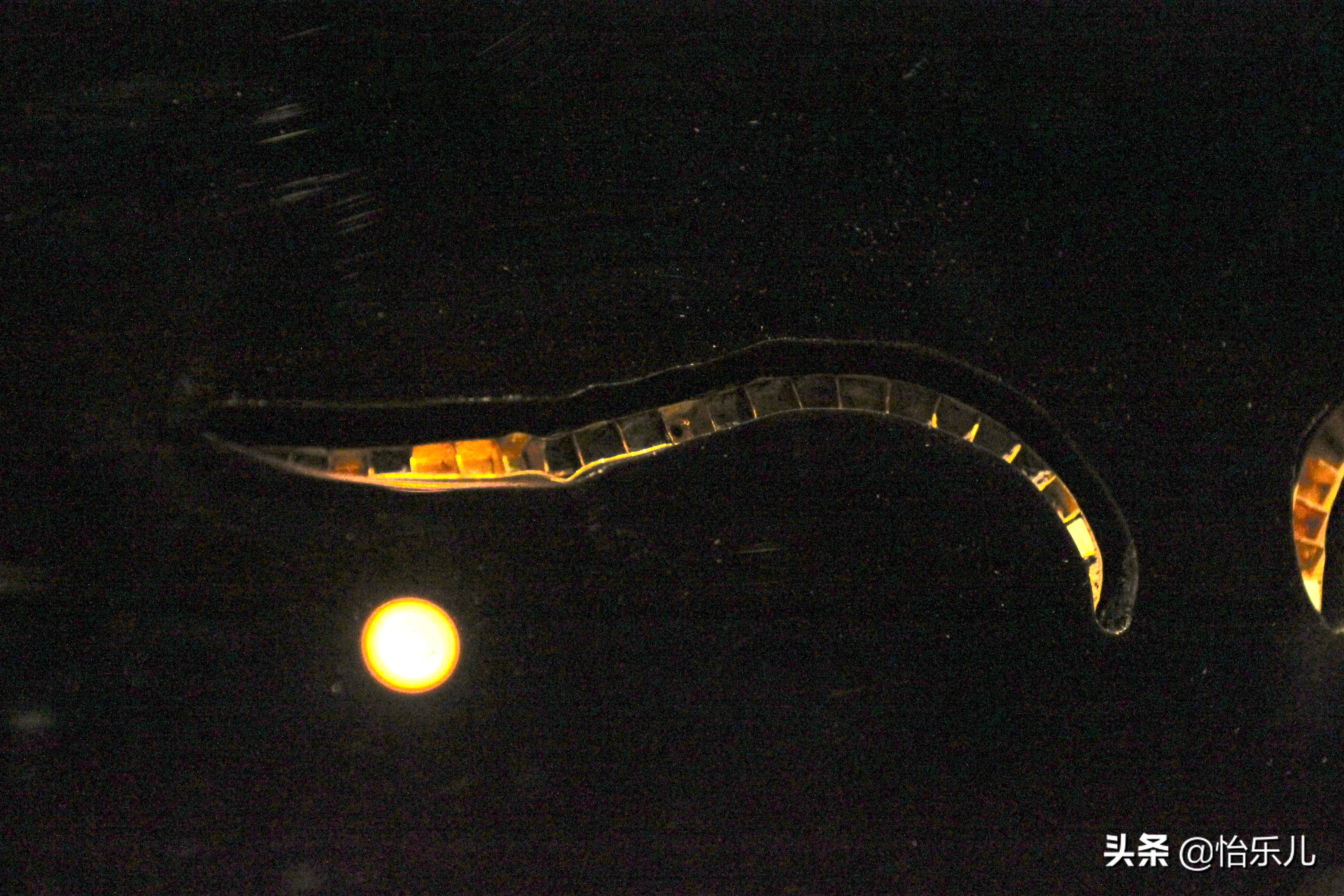 都兰热水墓被盗文物,都兰热水一号大墓出土文物