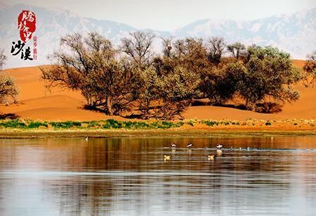 腾格里沙漠高端团建,腾格里沙漠徒步团建几天