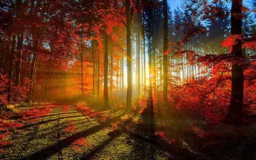 朱自清匆匆配乐,朱自清匆匆感悟