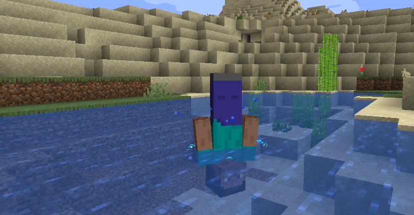 我的世界冷知识史蒂夫,我的世界关于史蒂夫的秘密