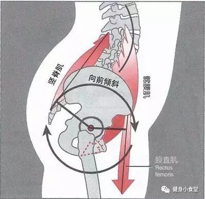 最有效的翘臀深蹲,深蹲训练翘臀视频