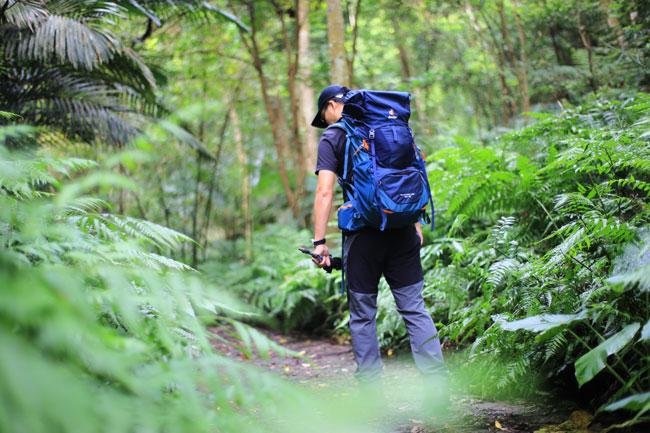 户外背包测评推荐,多特登山背包测评