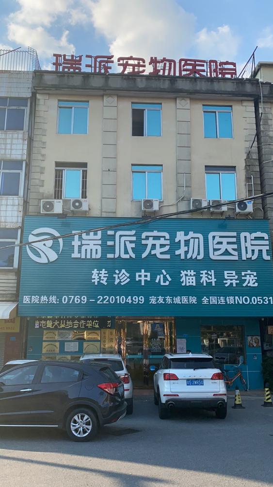 瑞派宠物医院告诉你最牛医院的正确打开方式