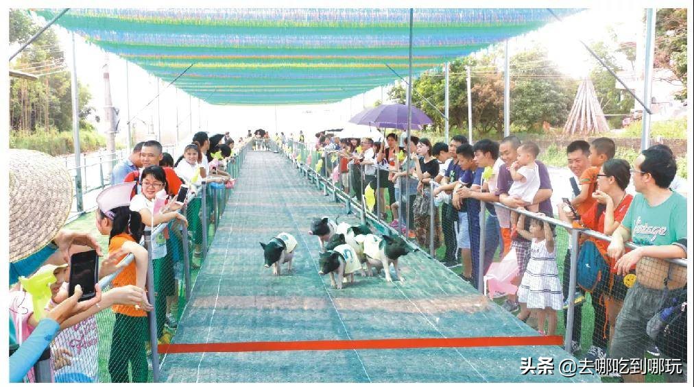 69.9抢惠州罗浮山漂流门票89元抢漂流门票+空中田园