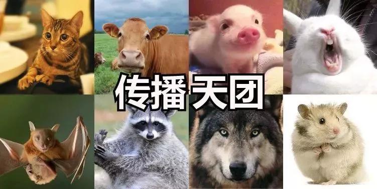 传染病彻底根除要多久,传染病是怎样攻克的