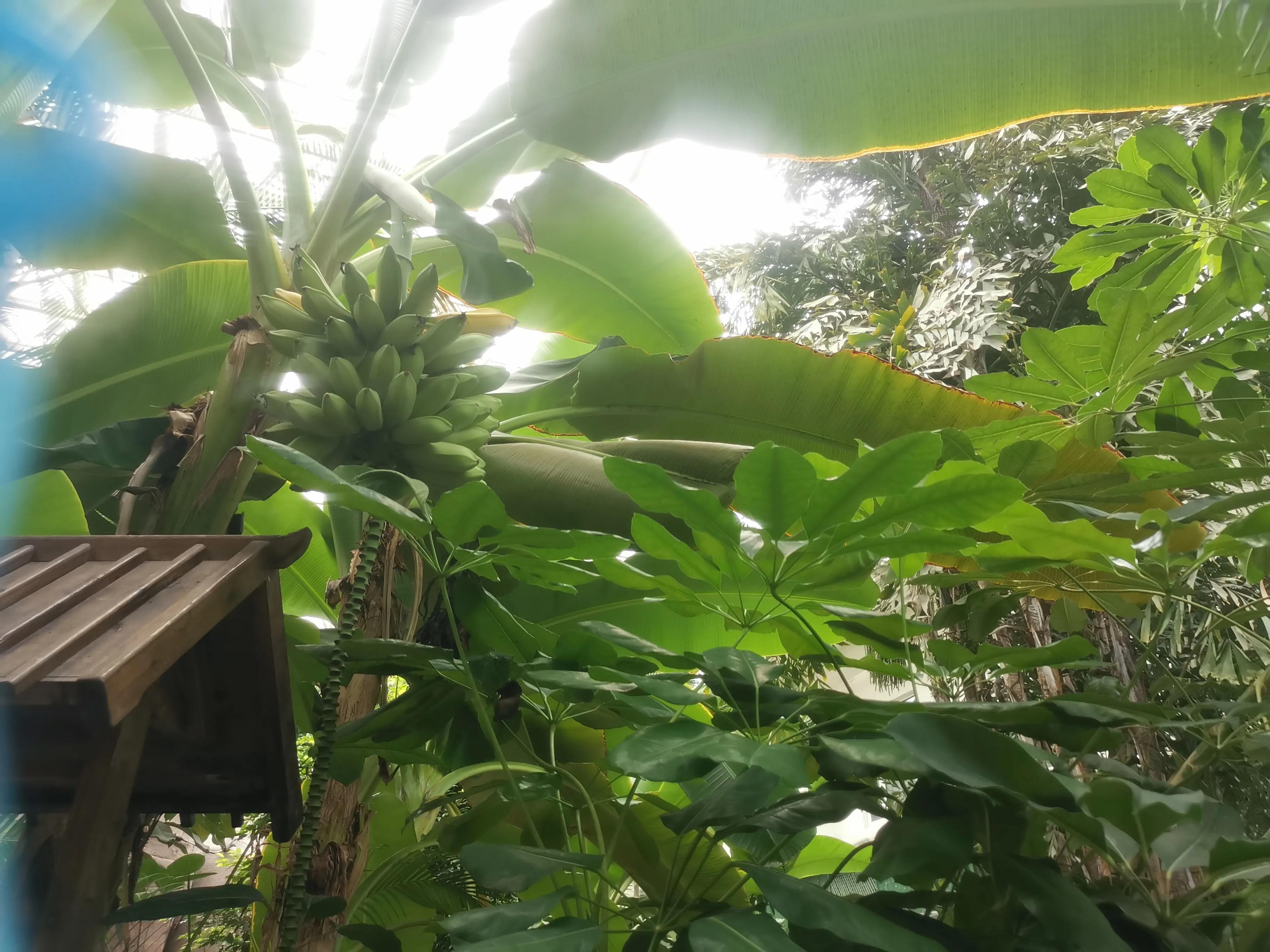 凤山温泉,北京金隅凤山温泉特色