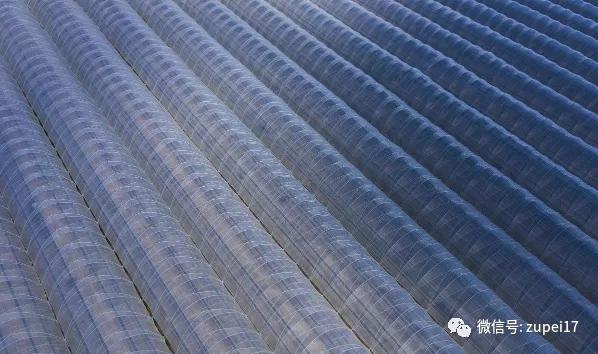 小型温室大棚用什么样的大棚,塑料大棚对比玻璃大棚