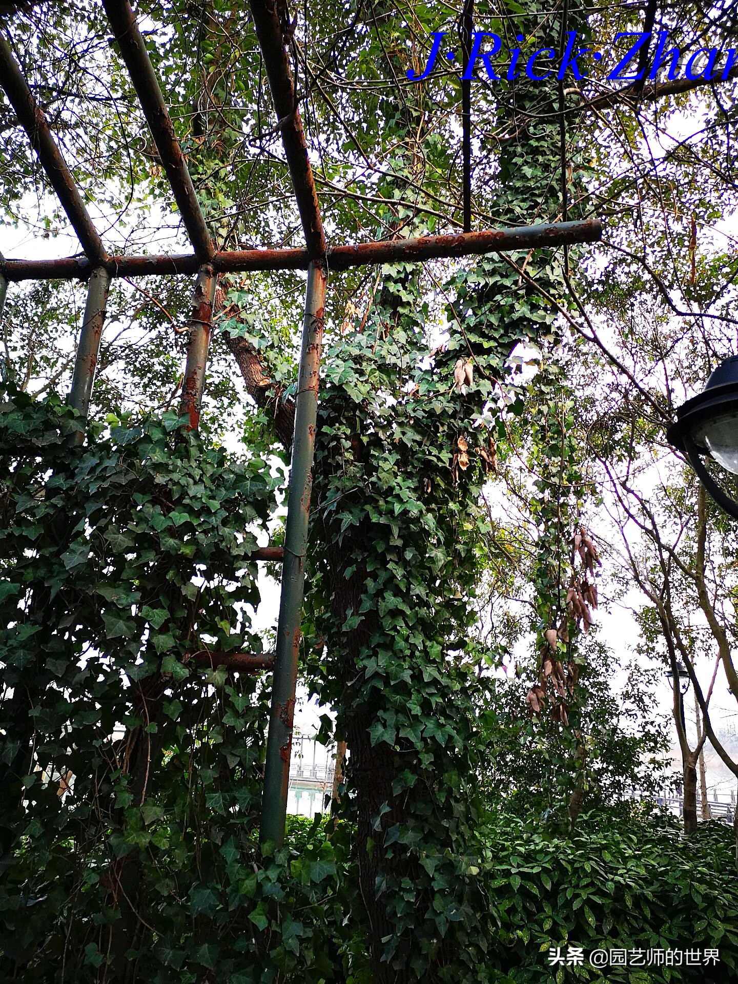 园艺现状和发展前景,园艺研学基地