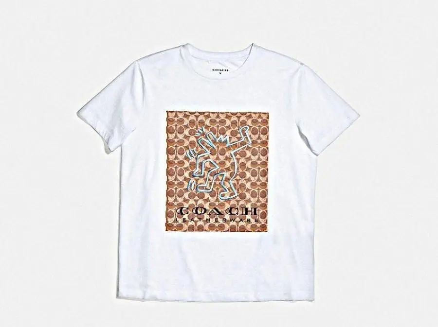 美国涂鸦艺术家哈林,美国街头涂鸦艺术家哈林