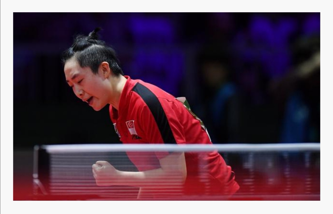 国乒“四大海外使者”，墙内开花，墙外香