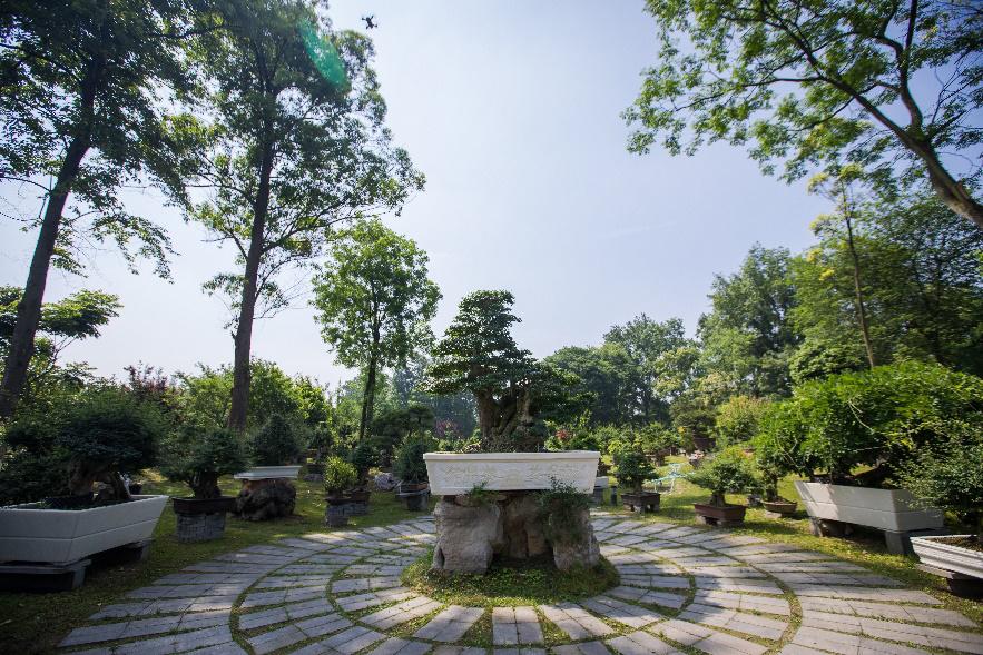 在郫都安德乘风破浪，这里有14个机会