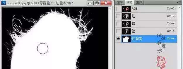 ps如何利用通道快速抠毛发,ps抠出来的头发有白边怎么去除
