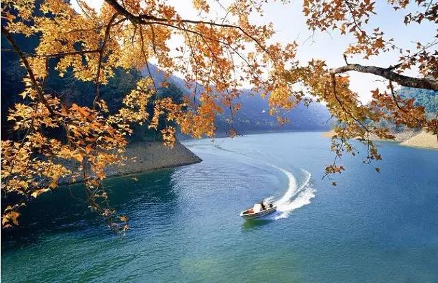 广州高性价比度假酒店,广州特价度假酒店