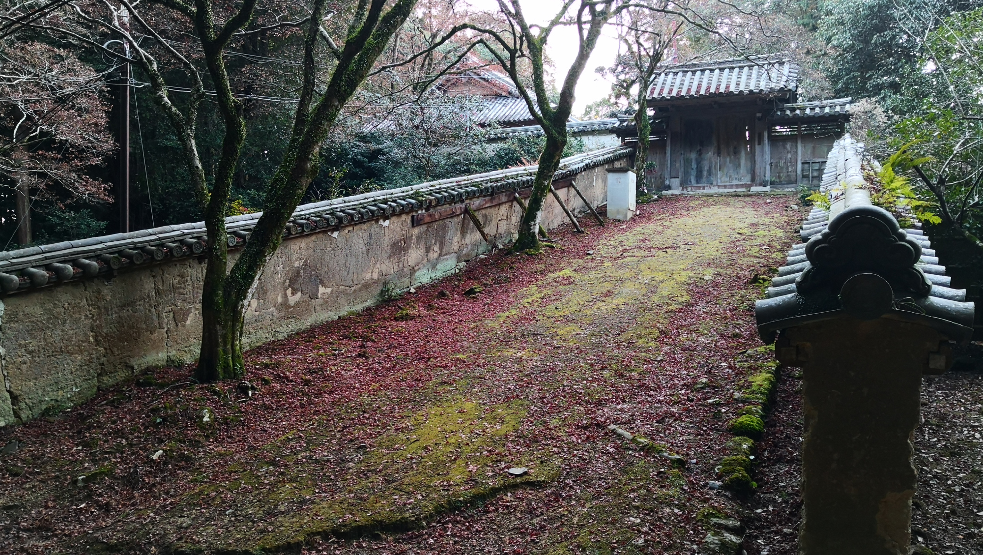 书写山圆教寺景点,书写山圆教寺攻略