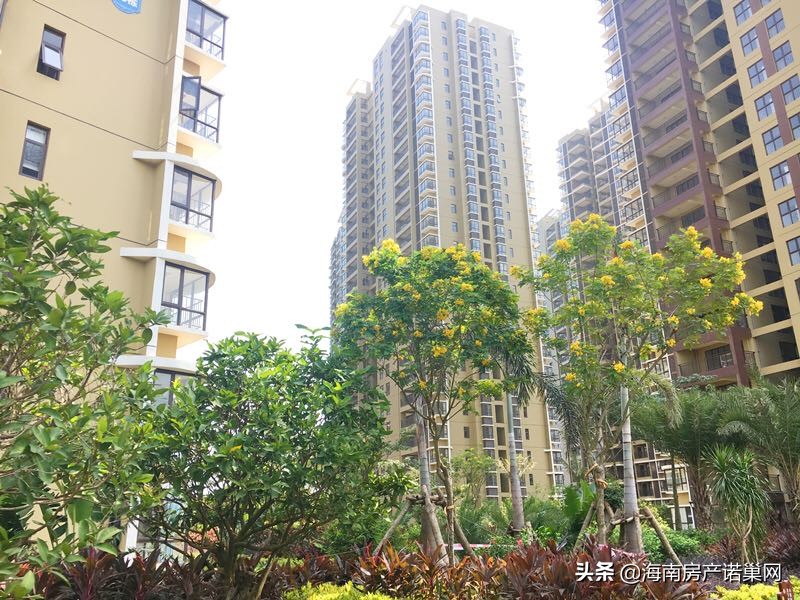 海南汇泽蓝海湾楼盘,汇泽蓝海湾最新楼价消息