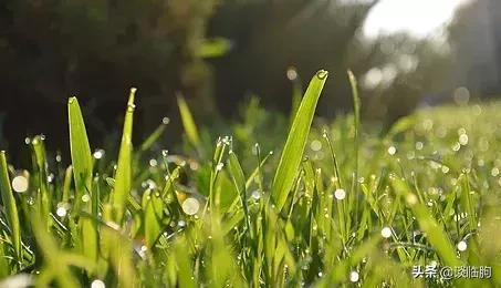 临朐历史上最好的地方,临朐历史上真实的变化