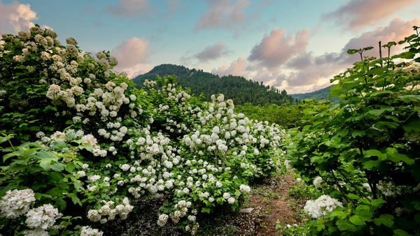 途家民宿测评,途家民宿诗和远方