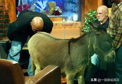 巴克利的尴尬时刻,巴克利各种吐槽