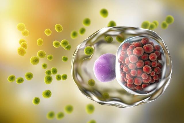 怀孕期间有支原体感染怎么办,衣原体感染会造成先兆流产吗