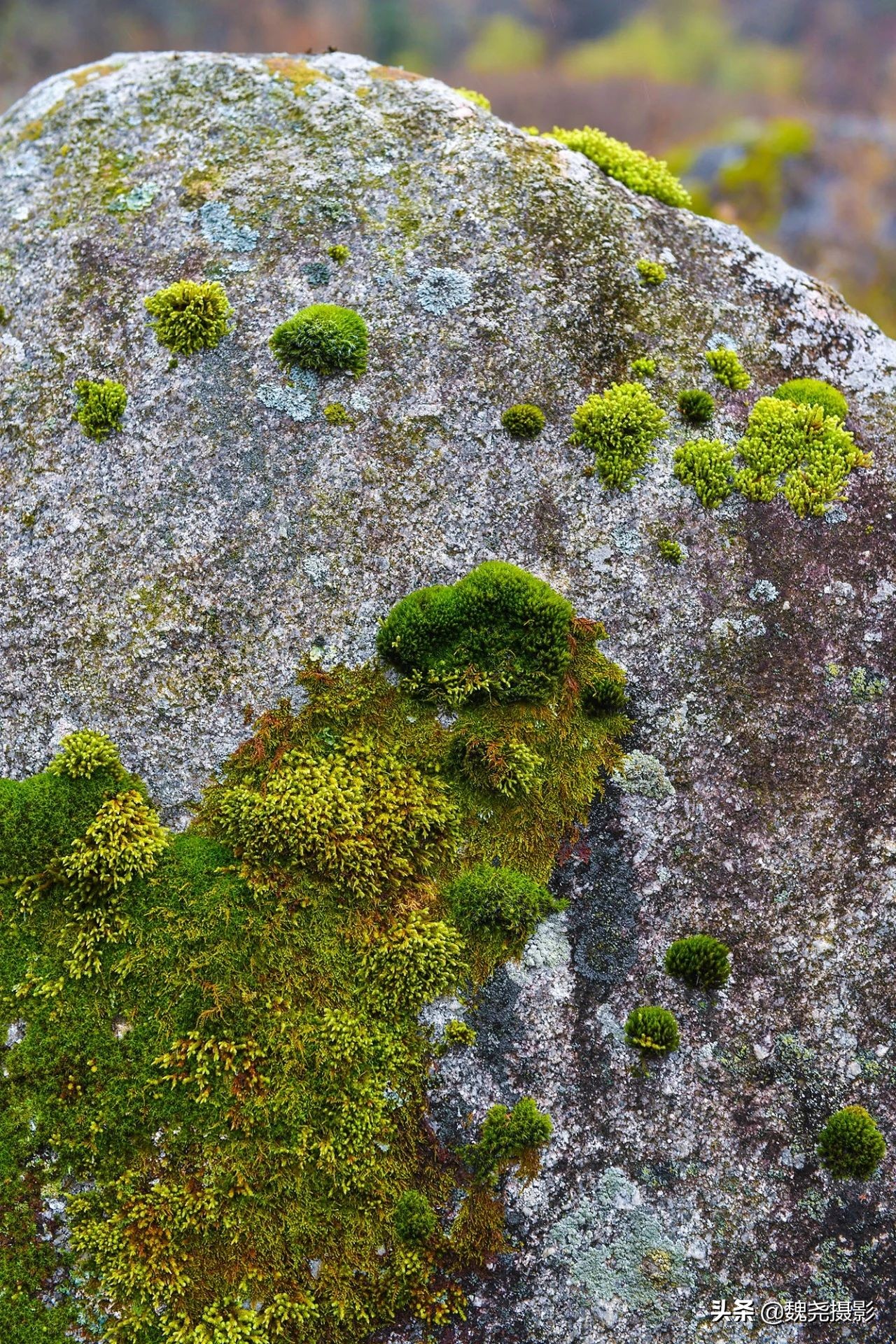 留坝秦岭之夜,留坝秦岭森林公园
