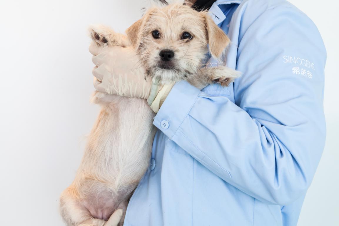 38万可以做什么,38万能做什么