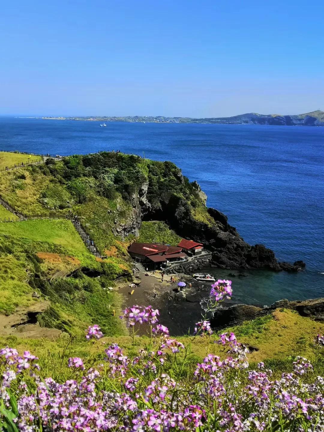 在济州岛发呆的日子,济州岛散心