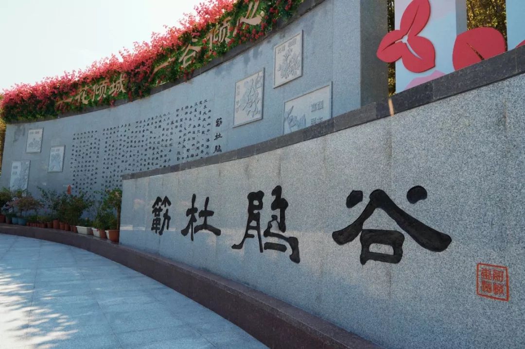 人少还免门票！深圳这片5000000㎡新公园美翻了，“神仙花谷”