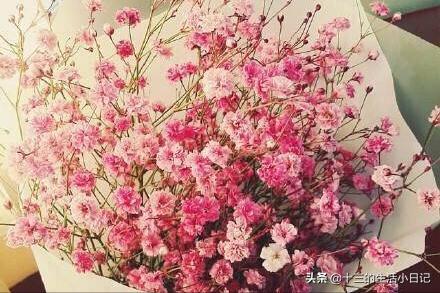 520大部分都送什么样的花束,520花束内容不表达爱意