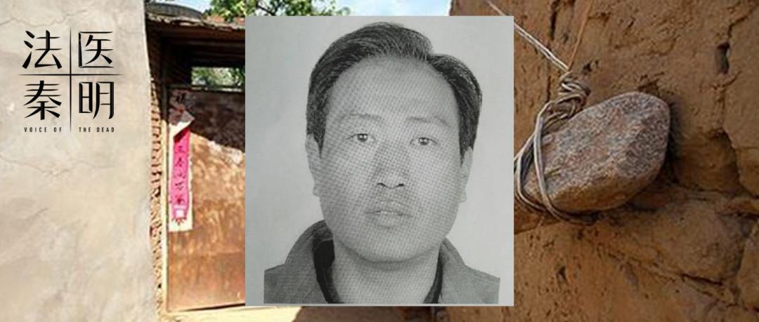 2019年影响力最高的十篇更新,最让你感到震撼的是哪一篇?