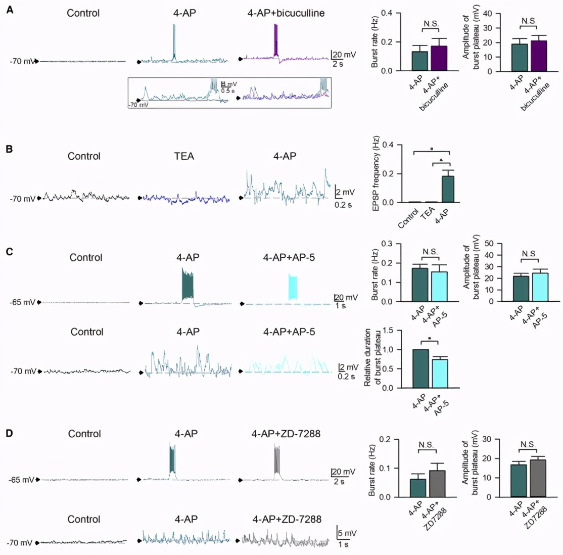 帕金森患者典型的震颤,帕金森病震颤的神经环路机制