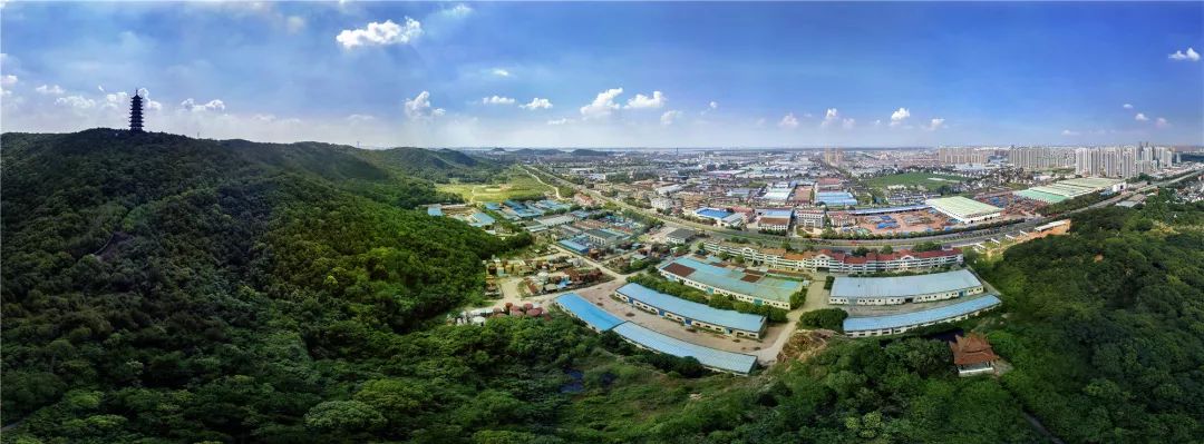 又被张家港圈粉了