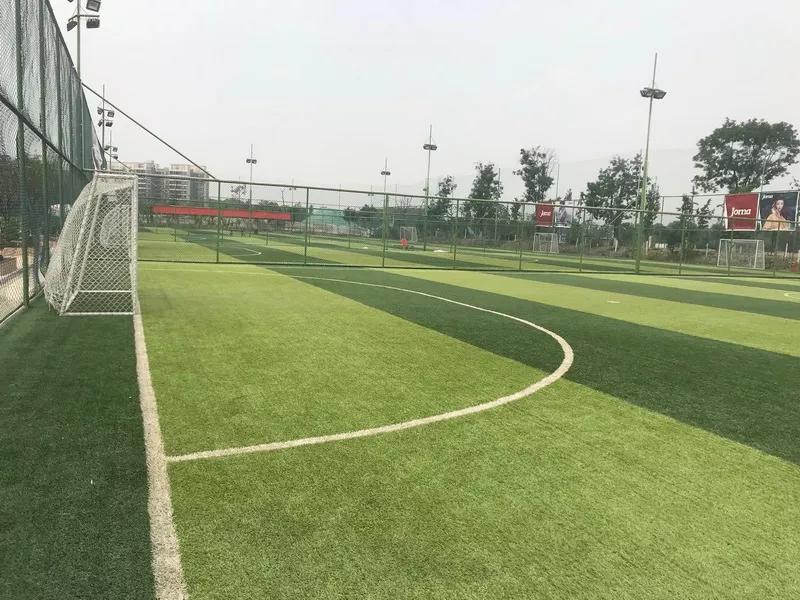 值得收藏的免费运动场地大全