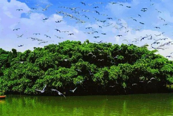 江门合景领峰在哪,江门合景领峰收楼