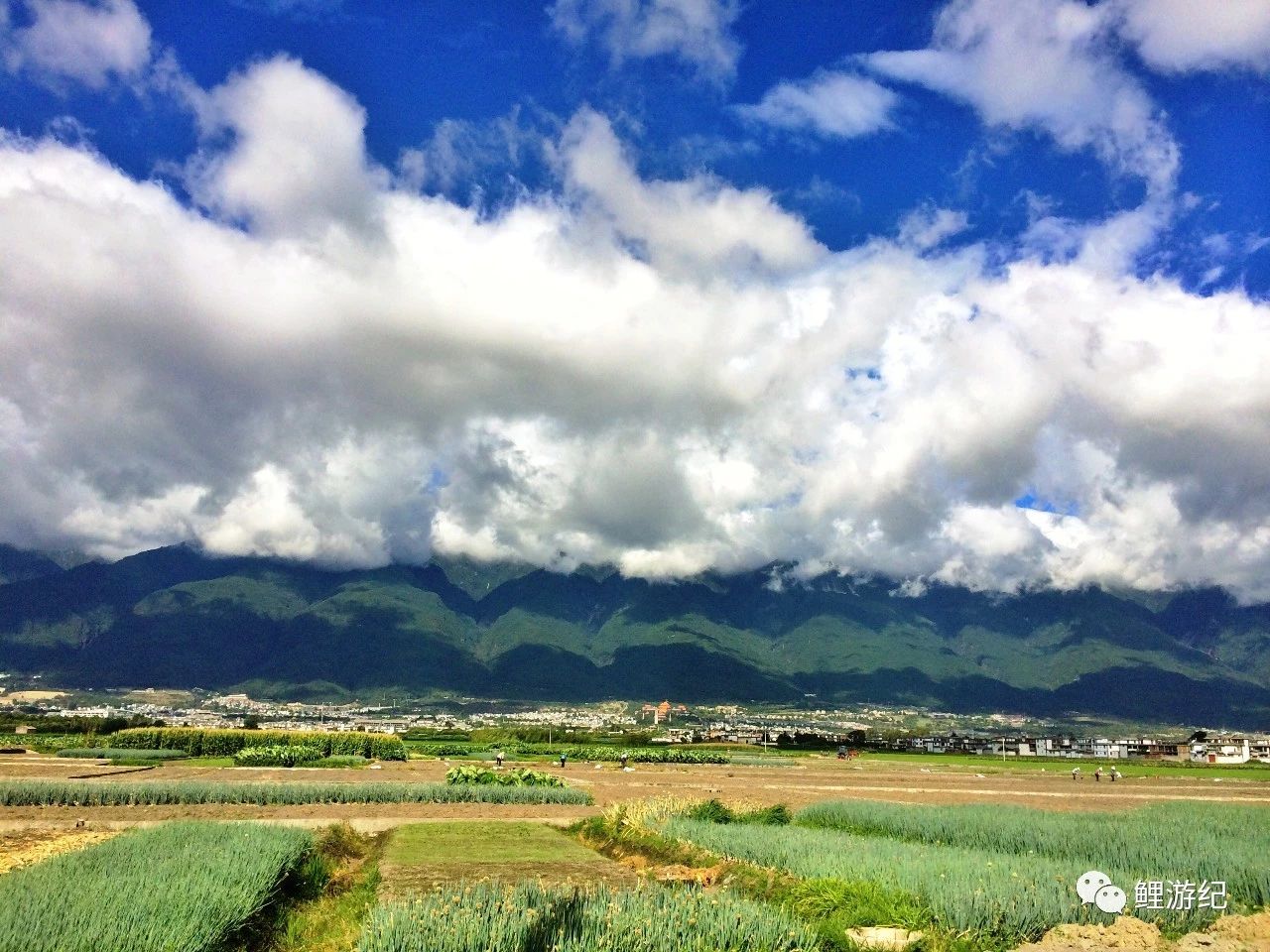 环海公路好看的图片,西南风景图片横图