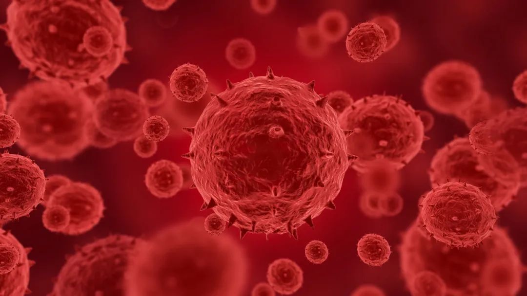 做ppt需要了解的tips,做ppt怎么能有自己的见解