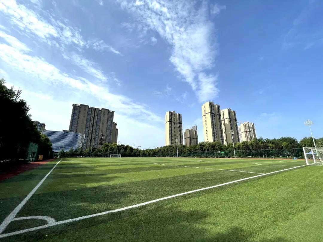 鑸ぉ鍥冻鐞冨満,瑗垮畨甯傝埅澶╄繍鍔ㄥ叕鍥冻鐞冨満