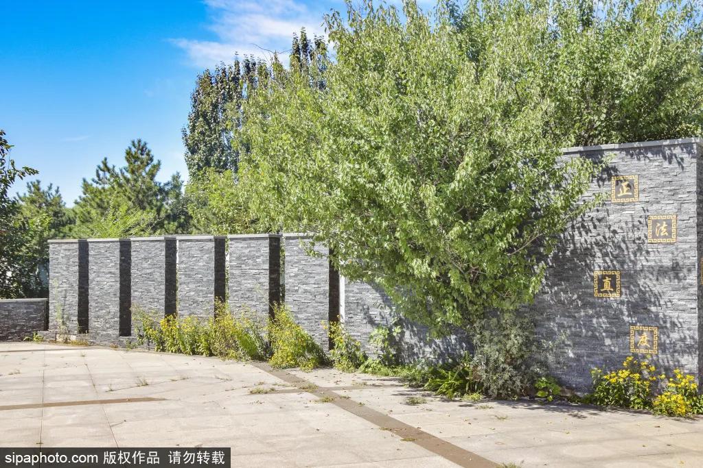 绿皮火车公园打卡景点,各种各样的免费公园