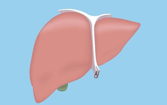 如何看懂乙肝两对半的数值,乙肝两对半定性怎样才算正常