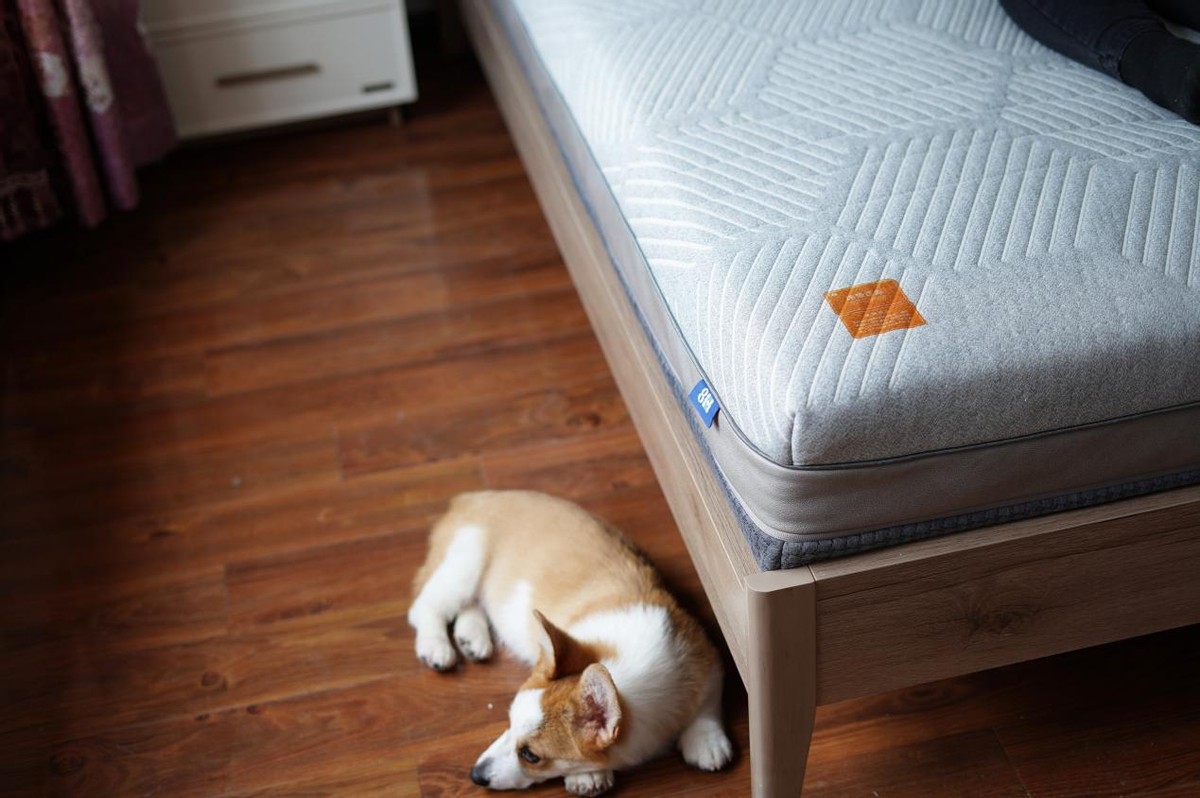 米粉亲自来验货售价两千多的8H金刚护脊乳胶床垫到底值不值