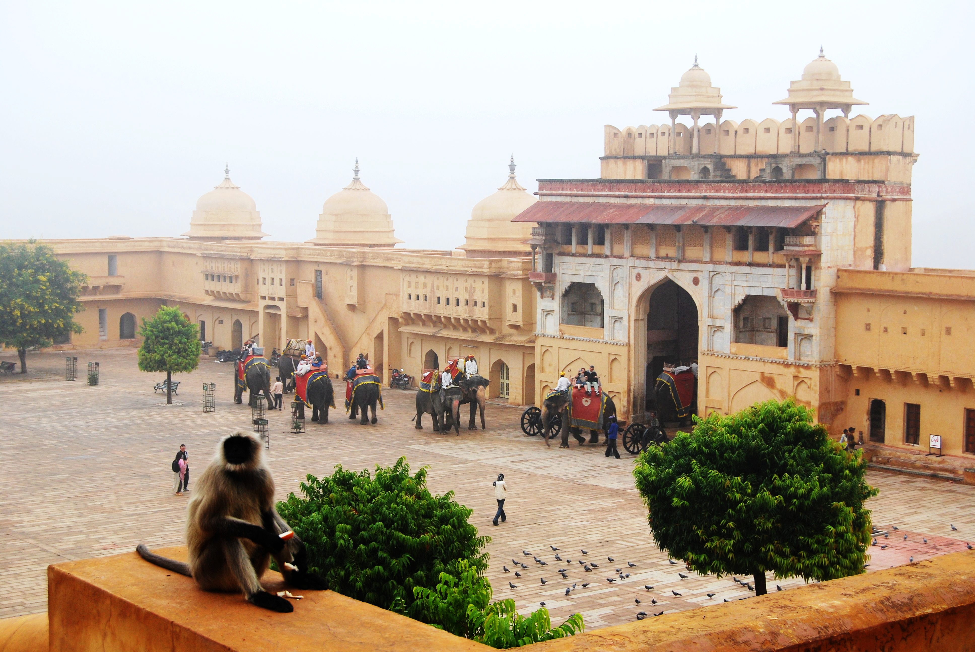 琥珀堡皇宫图片,琥珀堡镜宫