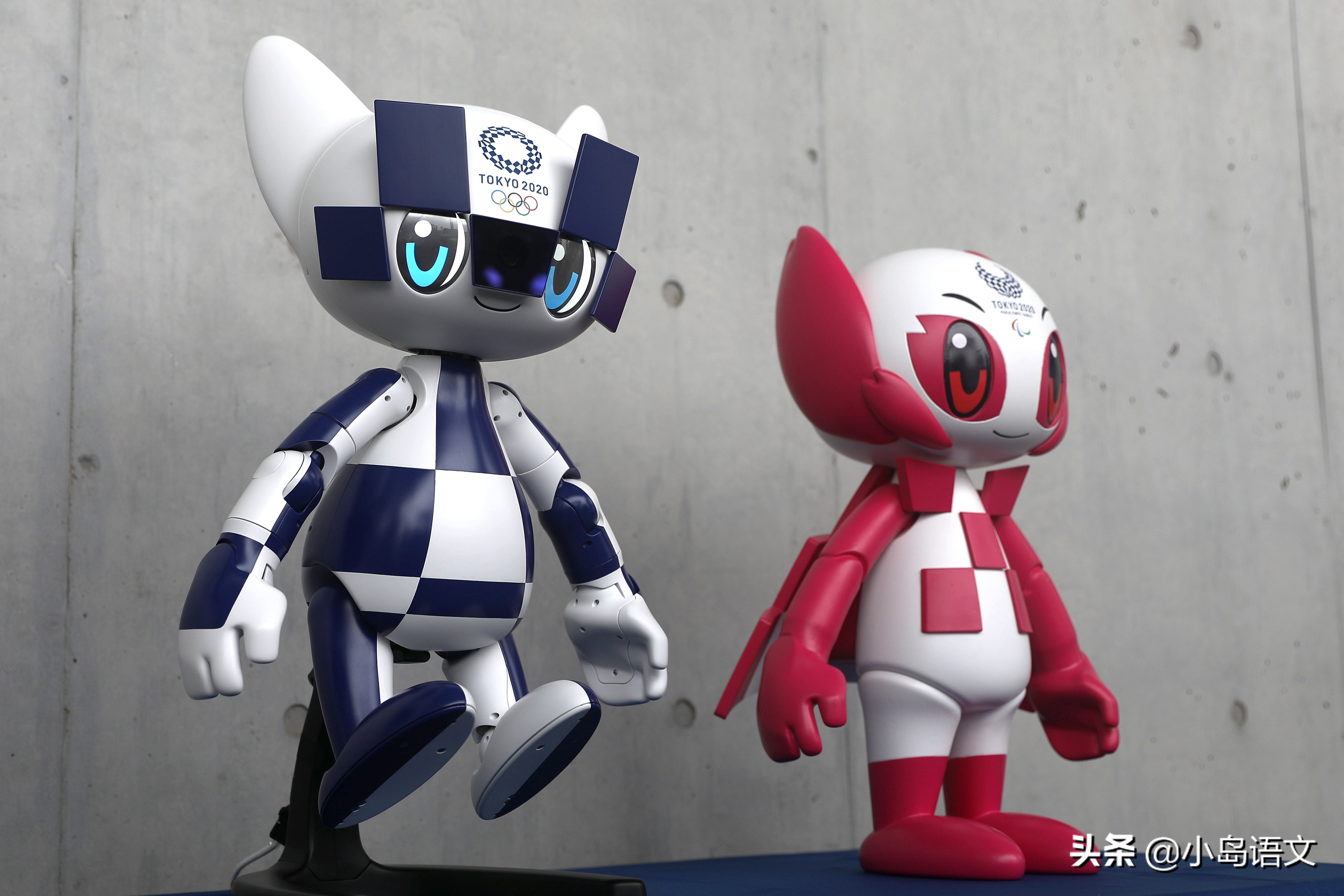 看奥运学英语,看奥运会必备知识