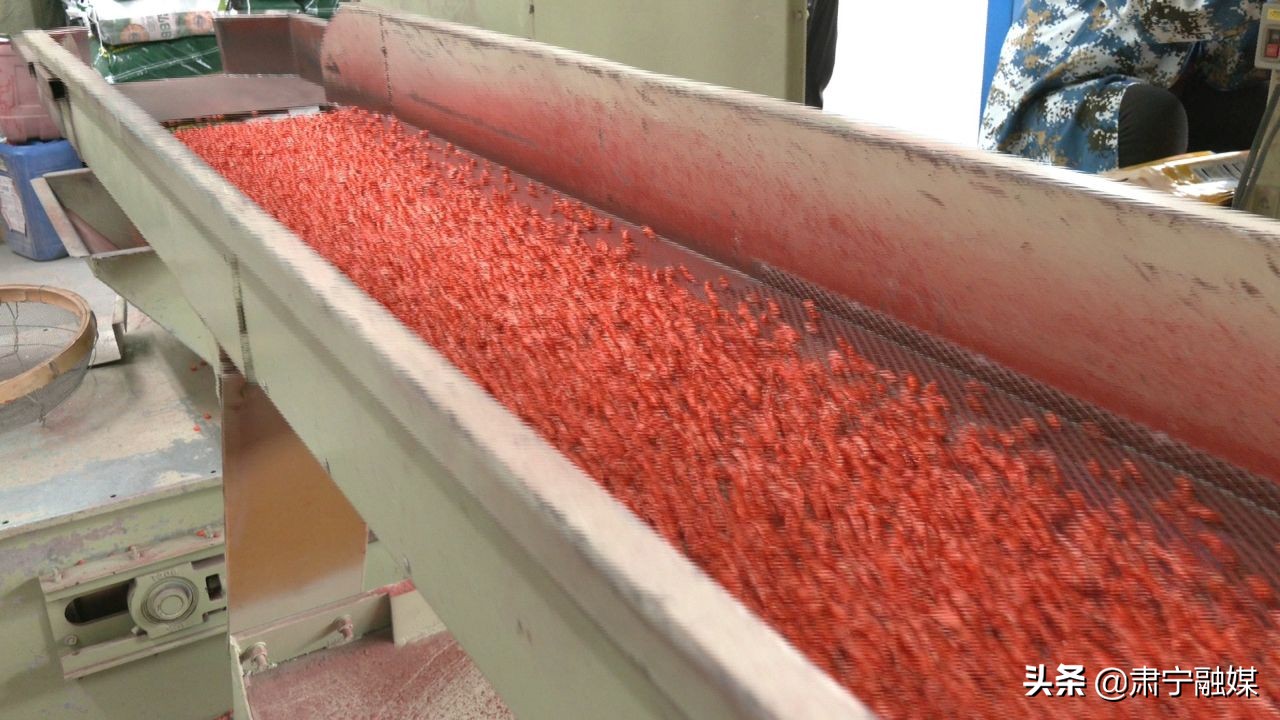 肃宁融媒,肃宁融媒怎么样