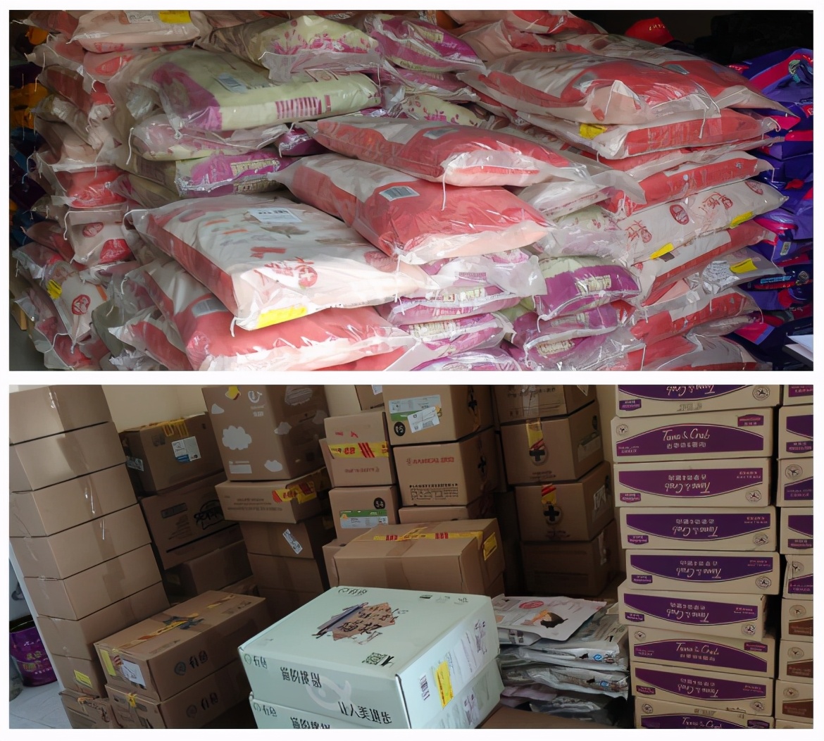 关爱流浪动物狗,关爱流浪动物活动