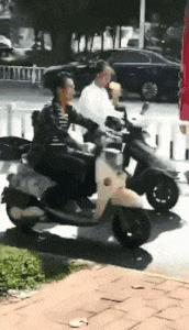 看了整整七分钟，他们最终还是上去了