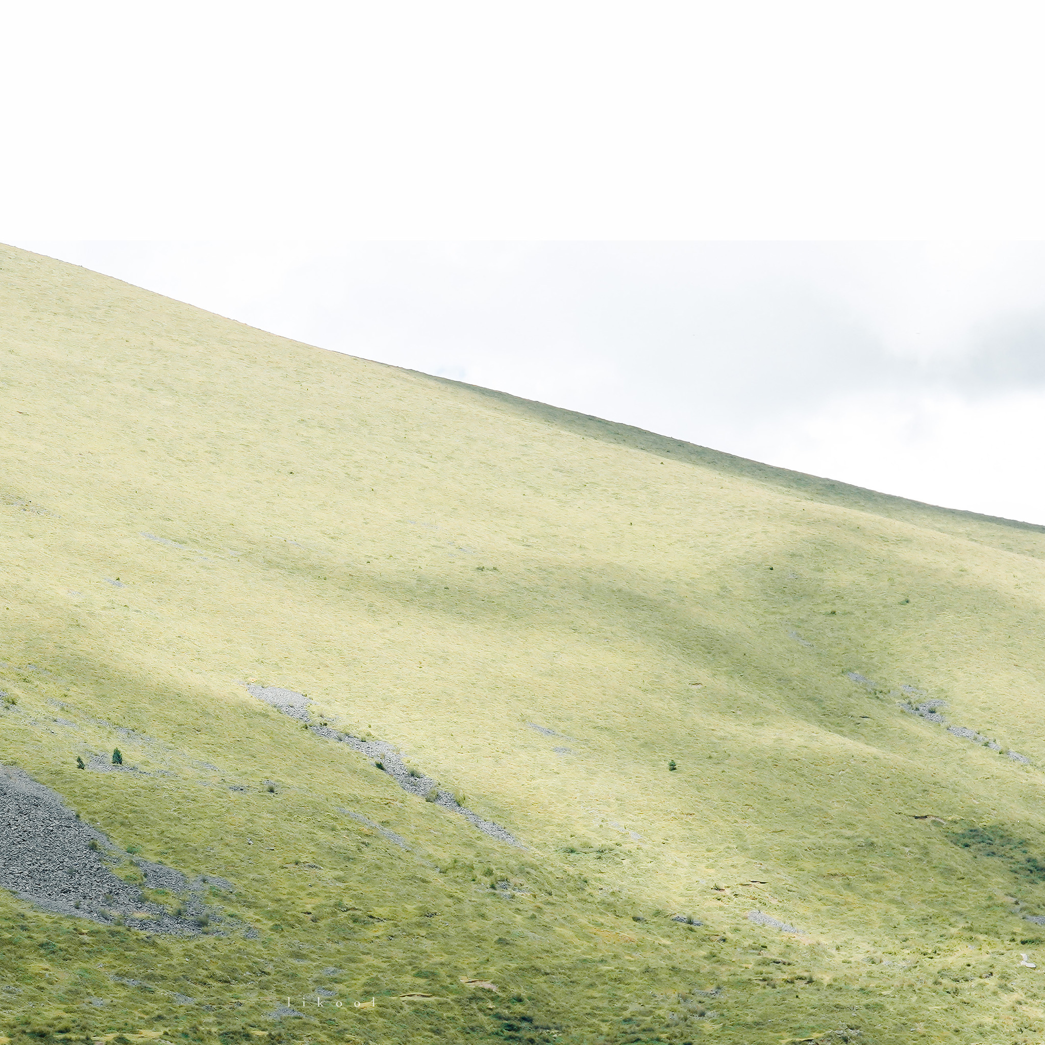 智者不入爱河无情终将上岸壁纸,ipad高清壁纸图片全屏